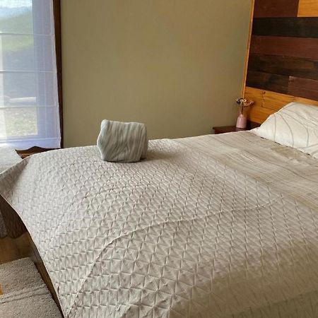 Cabanas Las Terrazas De Iculpe Población Población Lago Ranco Zewnętrze zdjęcie